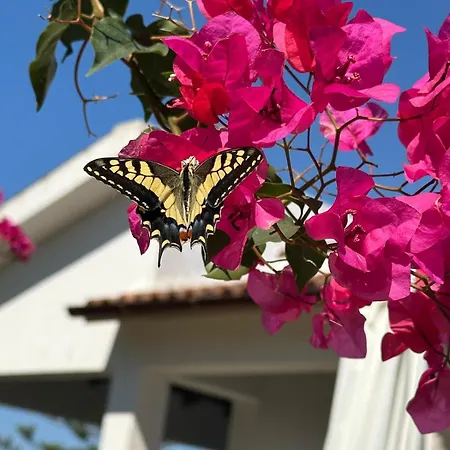 La Casa Di Bilici בית נופש Castelvetrano