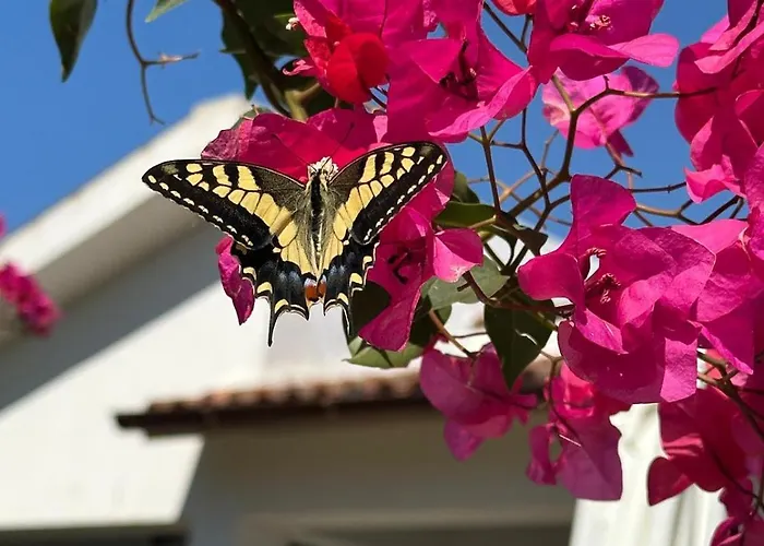 La Casa Di Bilici בית נופש Castelvetrano