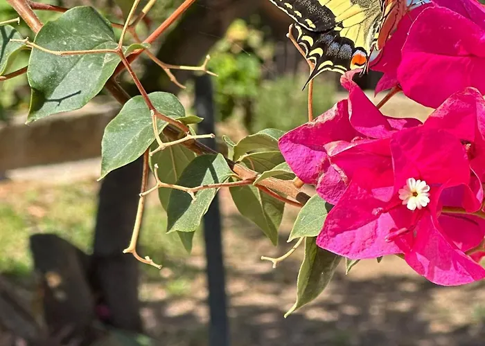 בית נופש La Casa Di Bilici