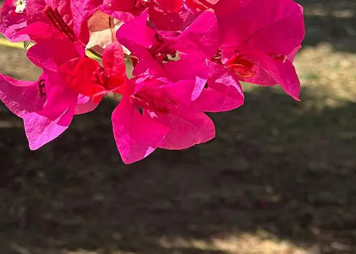 בית נופש La Casa Di Bilici *
